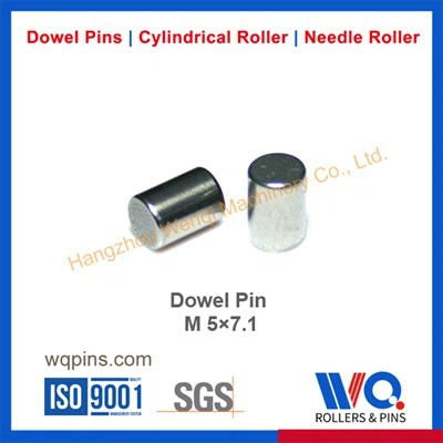 Pins del motor